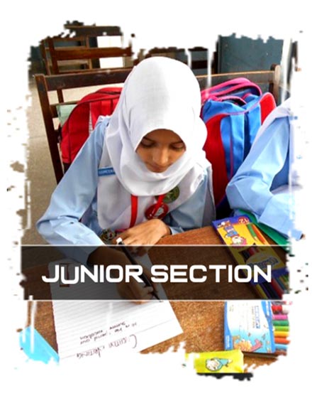 Junior Section