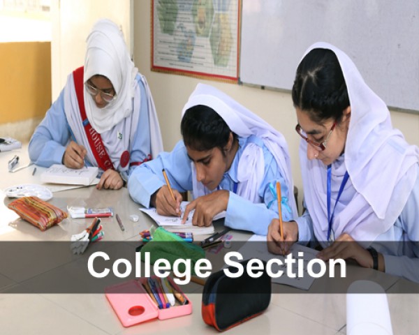 College Section